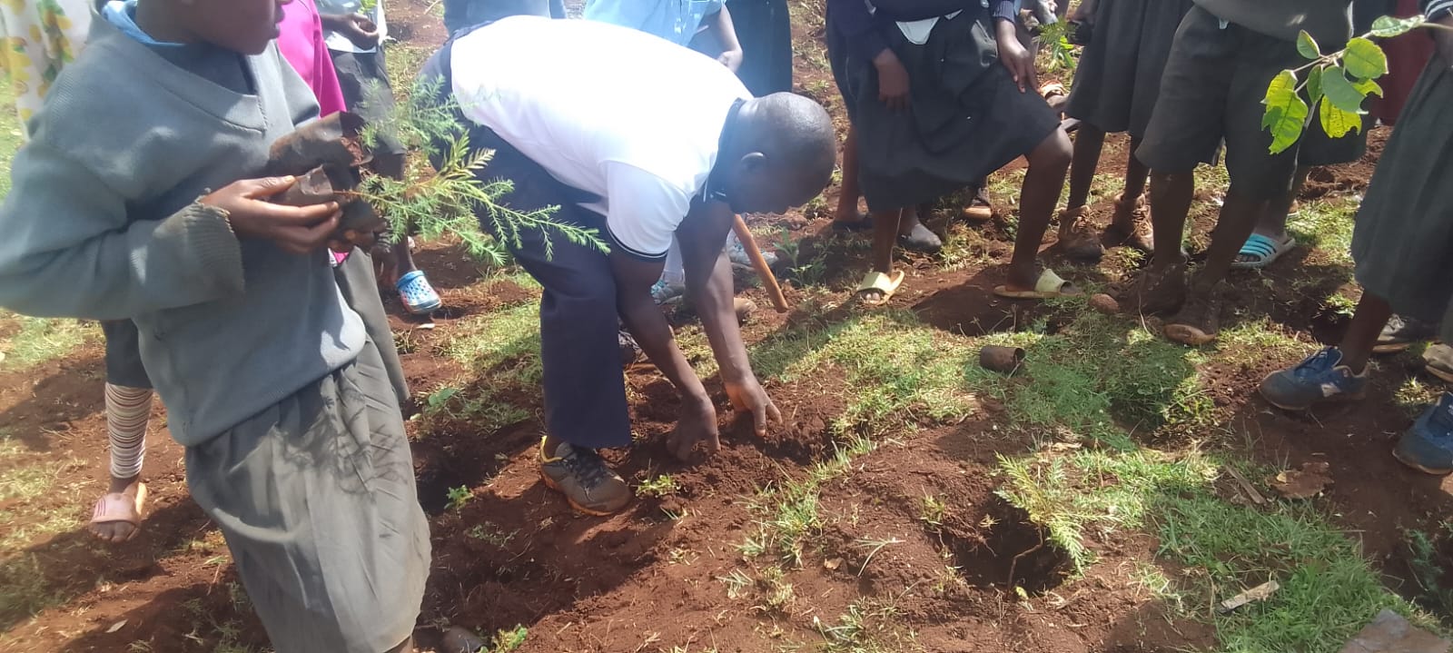 Planting Seeds for the Future